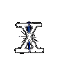 pic for The X